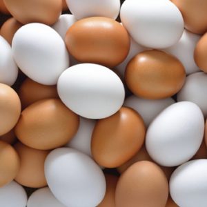 Egg Products